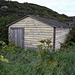 Cabanon envahi / Overgrown shed