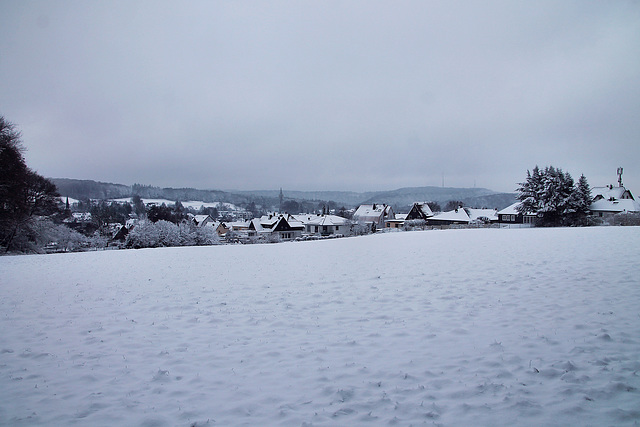 Blick über das verschneite Herzkamp (Sprockhövel) / 15.01.2024