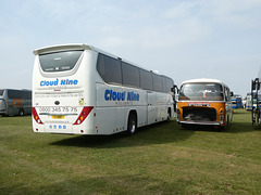 Country Lion coaches at the BUSES Festival, Sywell - 1 Sep 2024 (P1190527)
