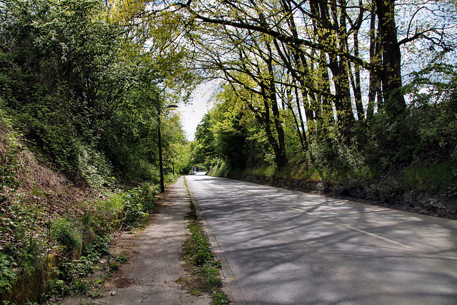 Harpener Hellweg (Bochum-Harpen) / 27.04.2024