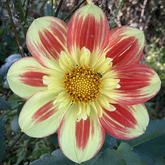 Schönes Wochenende :-)