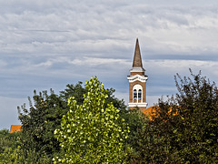 A bell tower appears among the trees