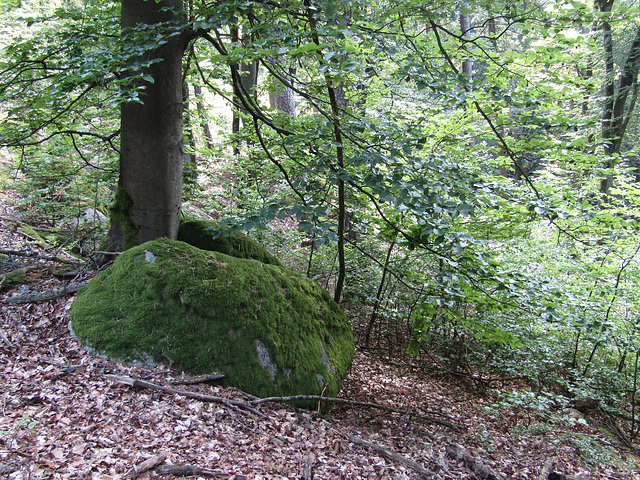 Baum mit Herz