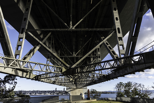 Under The Bridge