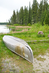 a soggy canoe