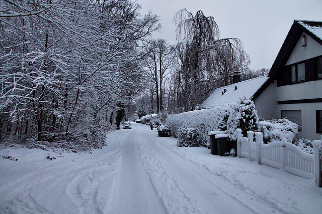 Mettberg (Sprockhövel-Herzkamp) / 15.01.2024