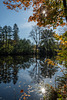 Herbstsonne im Zschopautal bei Braunsdorf