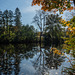 Herbstsonne im Zschopautal bei Braunsdorf