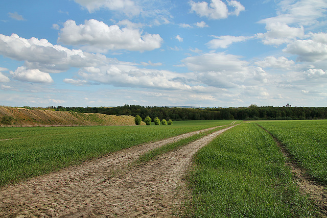 Berghofer Feld (Bochum-Harpen) / 27.04.2024