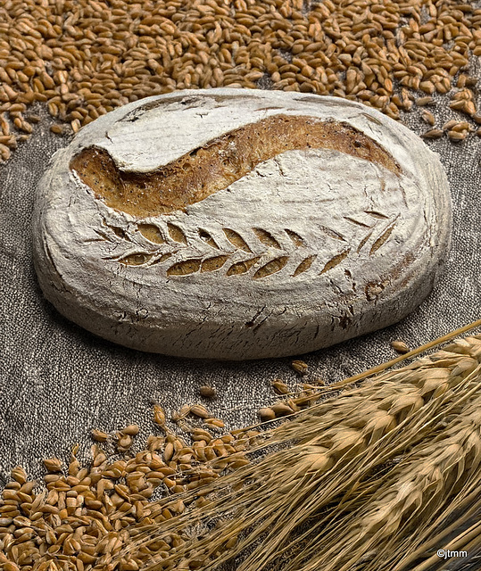 Sourdough Cotswold Crunch Sourdough Cotswold Crunch
