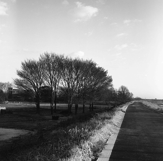 Bike road