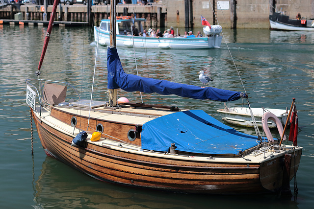 Boat for Sale (ship's gull included)