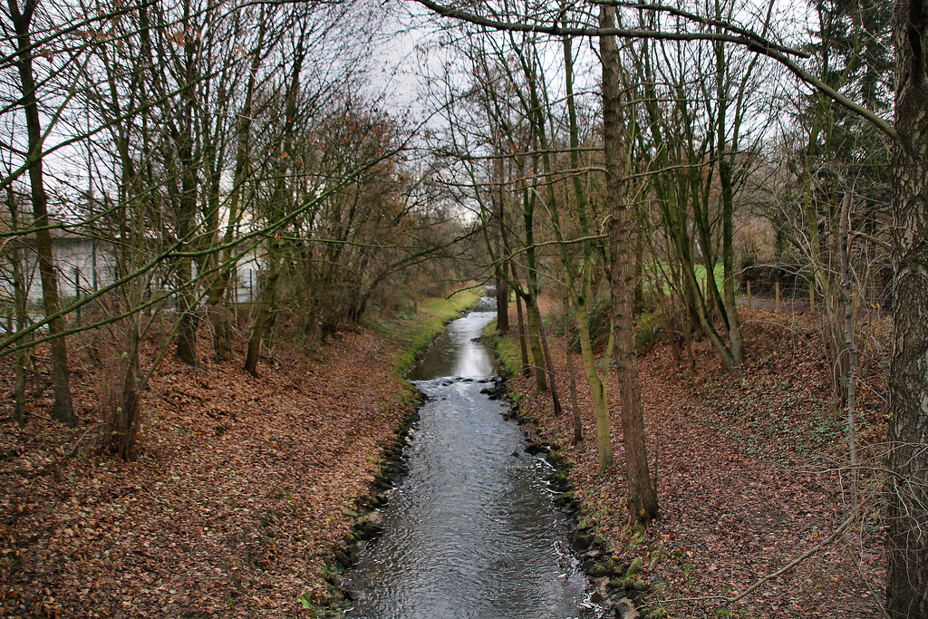 Der Sickingmühlenbach (Marl-Sickingmühle) / 12.12.2018