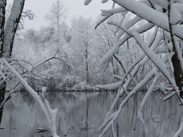 Snowy pond