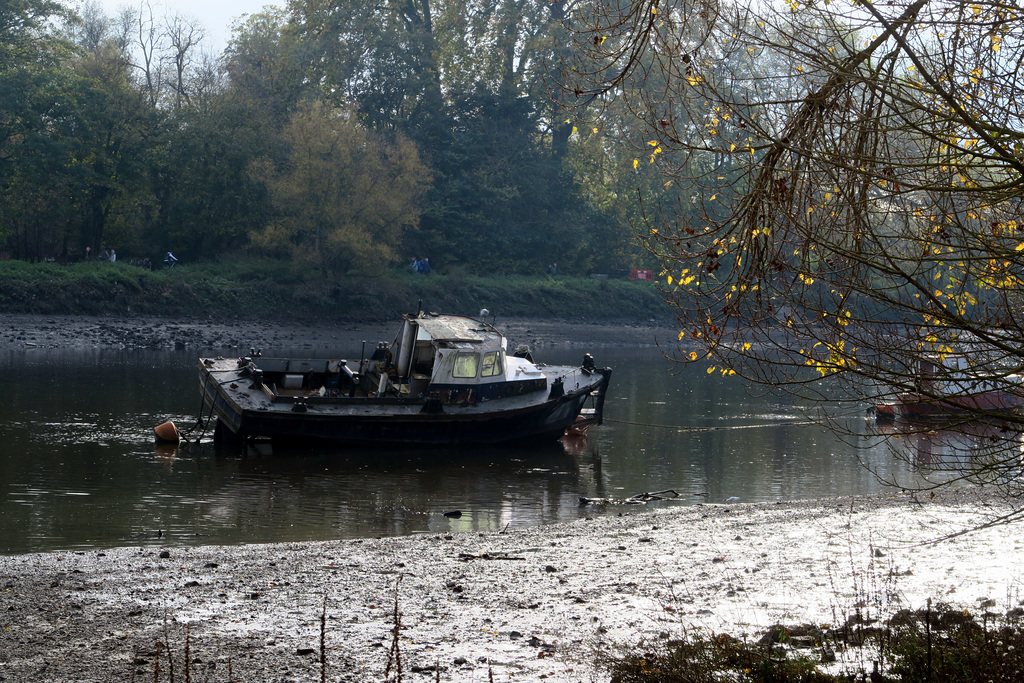 IMG 0430-001-Low Tide Twickenham