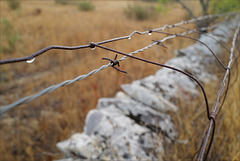 Penedos, Fenced wall HWW