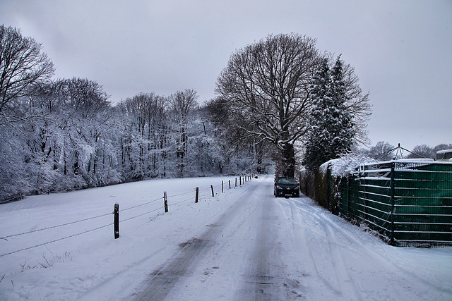 Mettberg (Sprockhövel-Herzkamp) / 15.01.2024