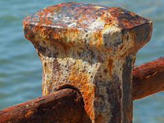 Glorious rust
