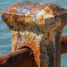 Glorious rust