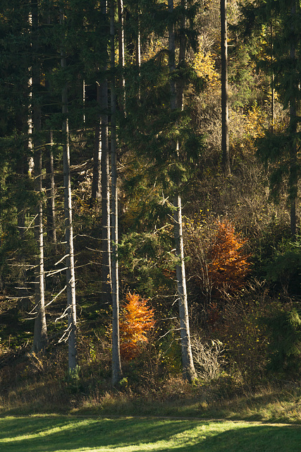 Eifel - Blankenheim Ahrdorf