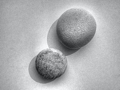 2 Stones in b&w