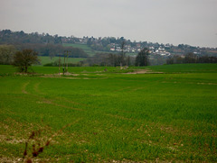 IMG 7746