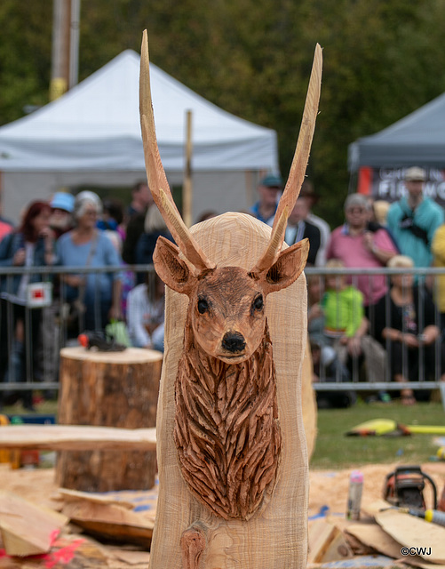 The Carrbridge World Chainsaw Carving Championship 2018