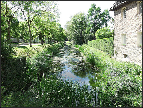 Schloss Dyck, Jüchen 024