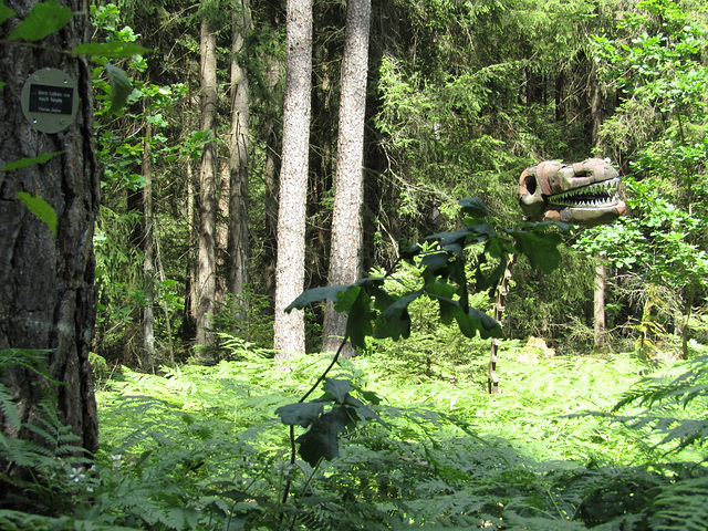 ein Dino im Wald