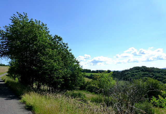 DE - Lind - Auf dem Panoramaweg