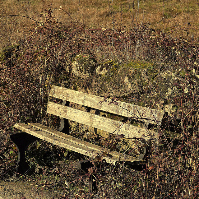 HBM- HAPPY BENCH MONDAY,