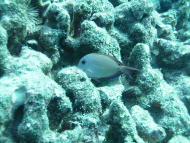PICT0295.JPG