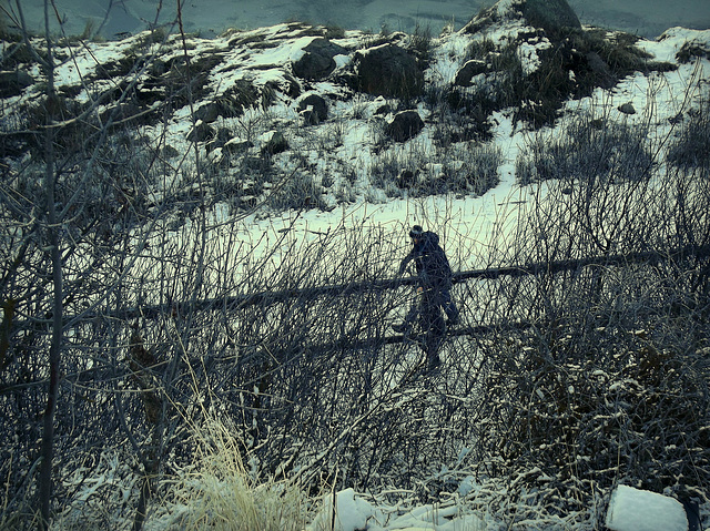 Along the tracks