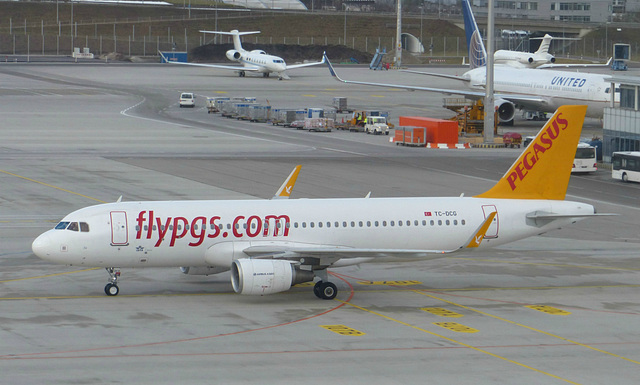 TC-DCG at Munich - 17 January 2019