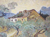 Detail of Farmhouse among Olive Trees by Van Gogh in the Metropolitan Museum of Art, July 2023