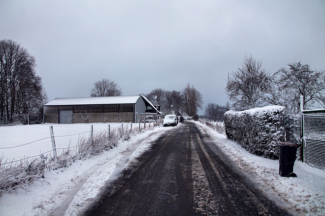 Ochsenkamp (Sprockhövel-Herzkamp) / 15.01.2024