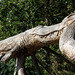 20140911 5144VRAw [NL] Krokodil mit Schlange, Skulptur, Terschelling