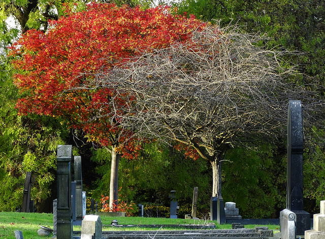 Wallsend Cemetery