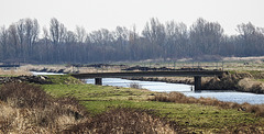 20180407 3700CPw [D~LER] Großsoltborger Sieltief,  Holtgaster See, Holtgasten