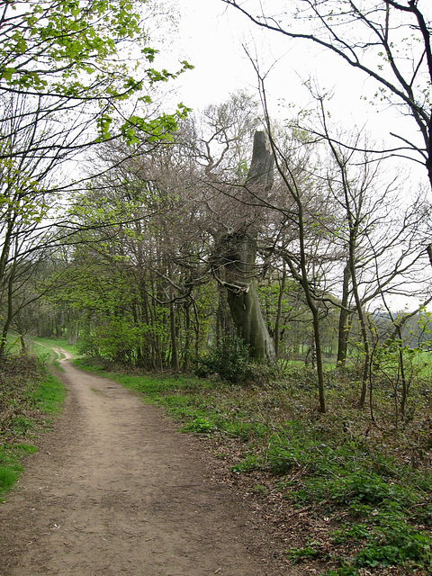 Footpath leading upwards to Gospel End