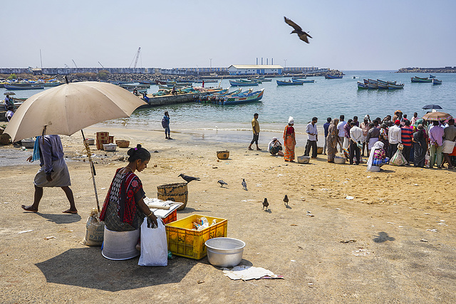 Vizhinjam Port.