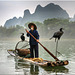 Cormorant Fisherman, China