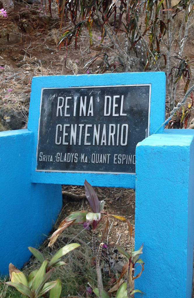 Reine du centenaire / Reina del centenario