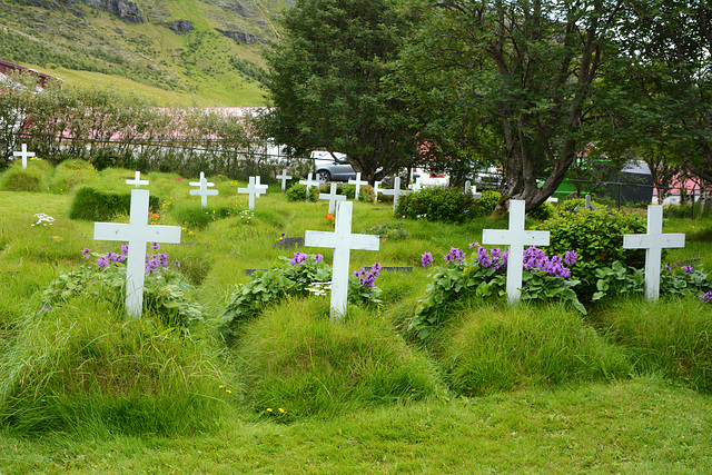 Iceland, The Hofskirkja Cemetery in Öræfi