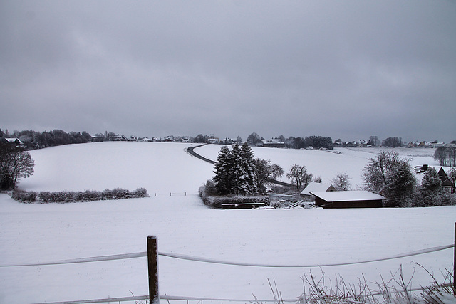 Blick zum Osterbruch (Sprockhövel-Herzkamp) / 15.01.2024