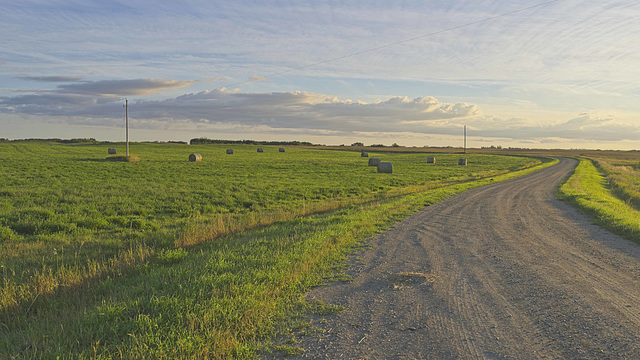 around the round bales