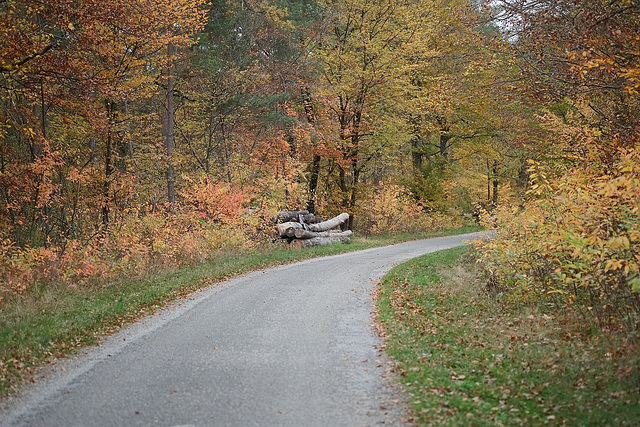 Sonntagsspaziergang