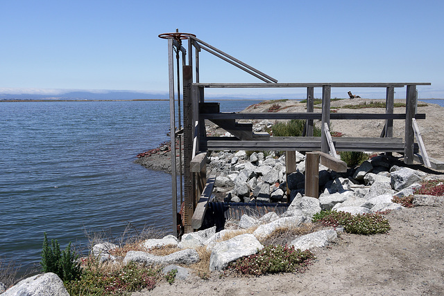 Alviso