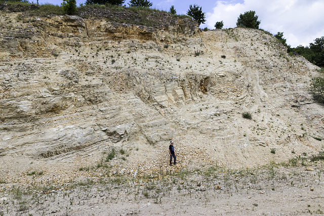 Ziswingen limestone quarry 3