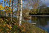 Alaxandra Park boating lake